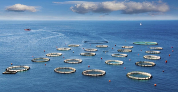 2025年中國深遠海養殖裝置行業(yè)政策、發(fā)展歷程、行業(yè)現狀及未來(lái)發(fā)展趨勢分析：海洋產(chǎn)業(yè)轉型升級驅動(dòng)，深遠海養殖裝置需求持續攀升